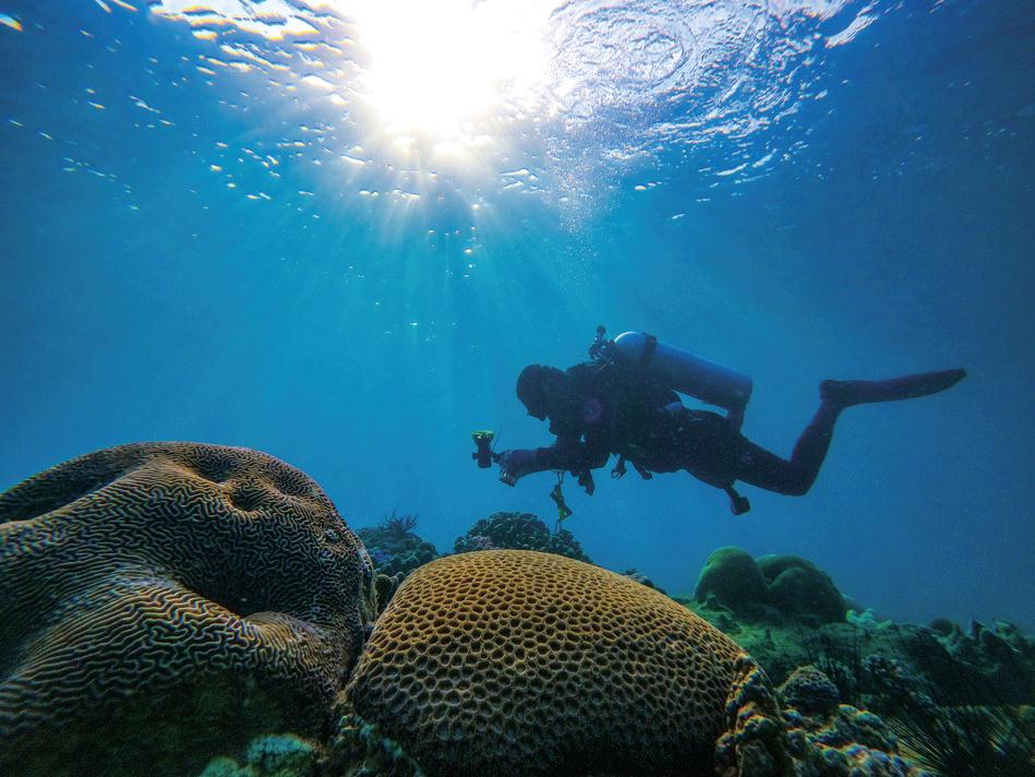 忠诚担当写春秋 继往开来谱新篇——记自然资源部南海局六十年发展历程