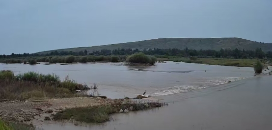 和林格尔县雨后湿地专项巡查守护自然生态和谐