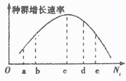 自然保护区的生态系统组成与鸟类角色