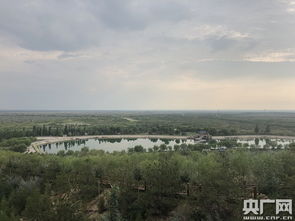 宁夏植绿治沙 守护黄河生态安全的壮丽征程
