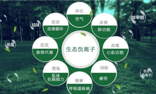 我家使用薇伊负离子空气净化器的真实体验与对自然生态系统保护的思考