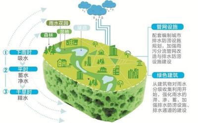温州全面推进海绵城市建设 市区建成区25%以上面积今年达到“水弹性”要求，强化自然生态系统保护管理